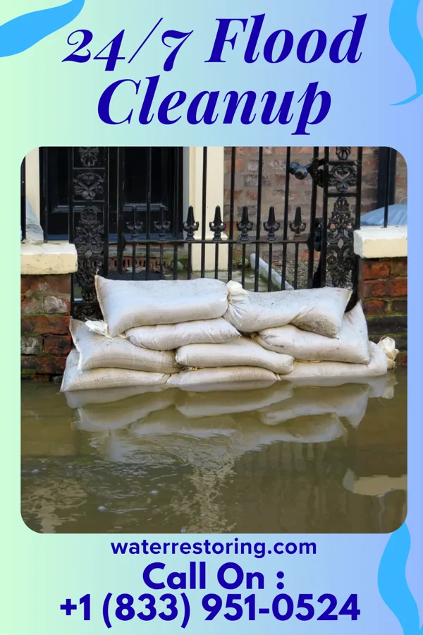24/7 Flood Cleanup in Whitestown, IN