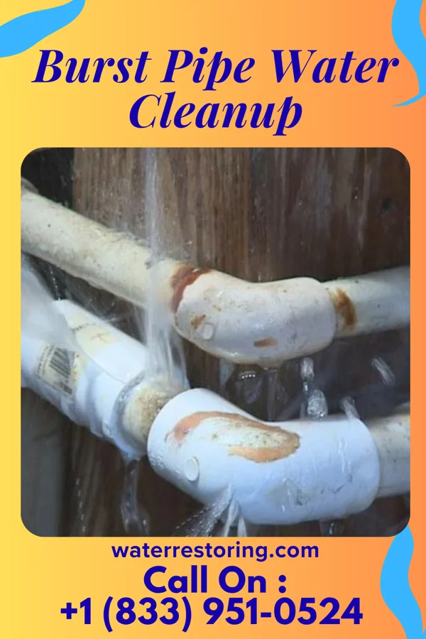 Burst Pipe Water Cleanup in Whitestown, IN