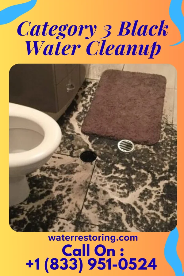 Category 3 Black Water Cleanup in Whitestown, IN