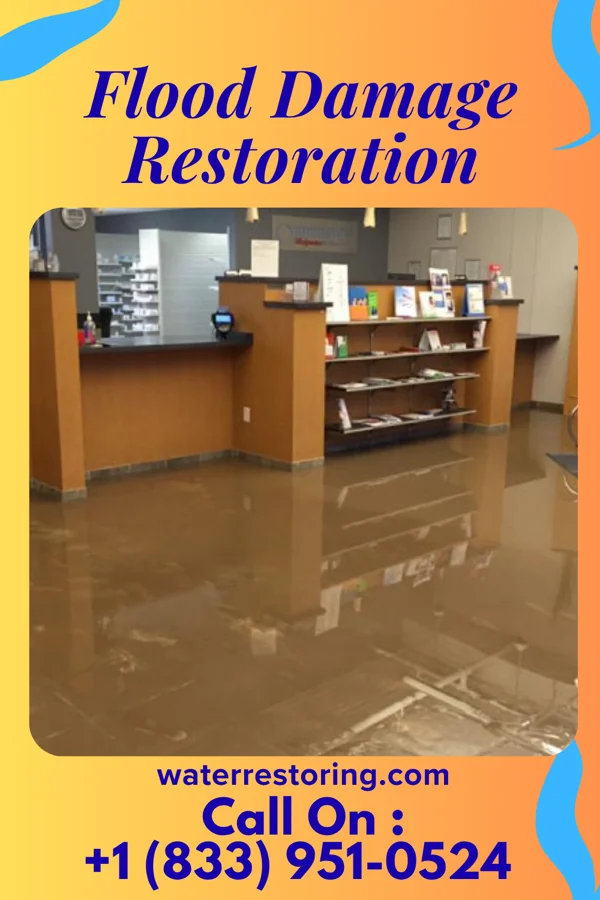 Flood Damage Restoration in Whitestown, IN