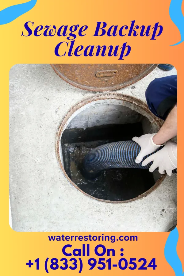 Sewage Backup Cleanup in Whitestown, IN