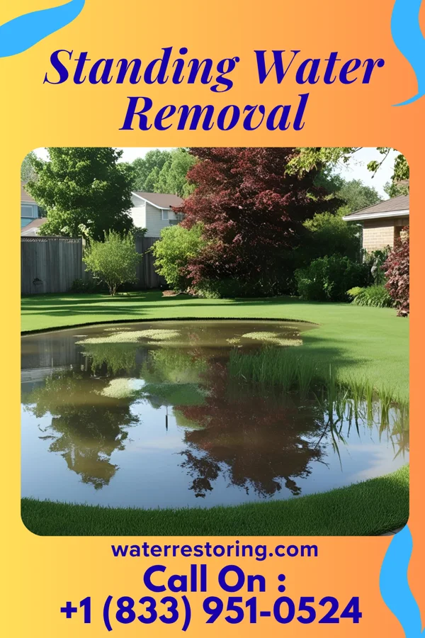Standing Water Removal in Whitestown, IN